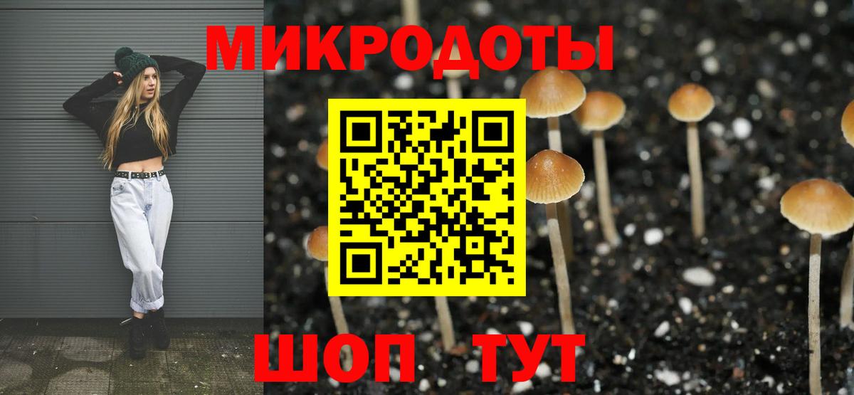 Галлюциногенные грибы мухоморы  Псилоцибиновые грибы Psilocybe  Геленджик  Вход с VPN 