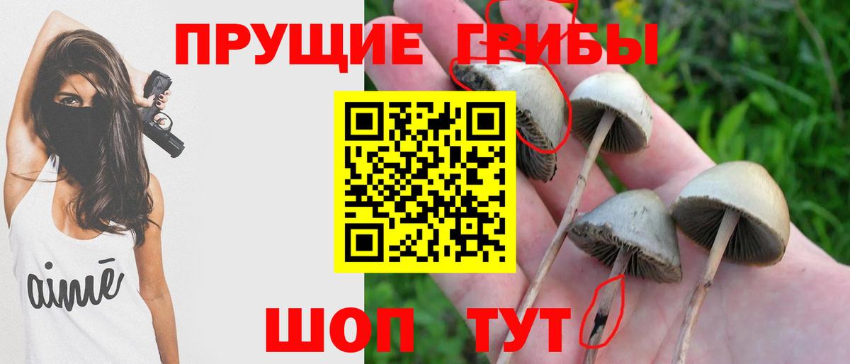 Галлюциногенные грибы мухоморы Геленджик